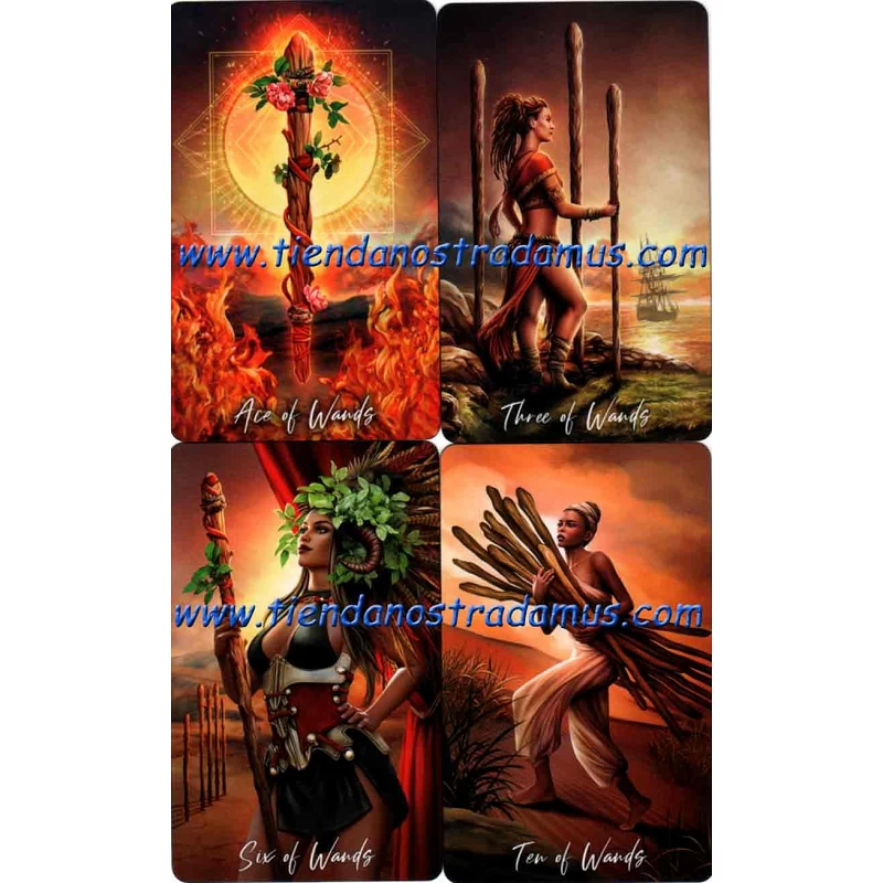 The elemental wisdom Tarot