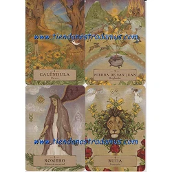 Oráculo Astrología Herbal 9788417851989 2