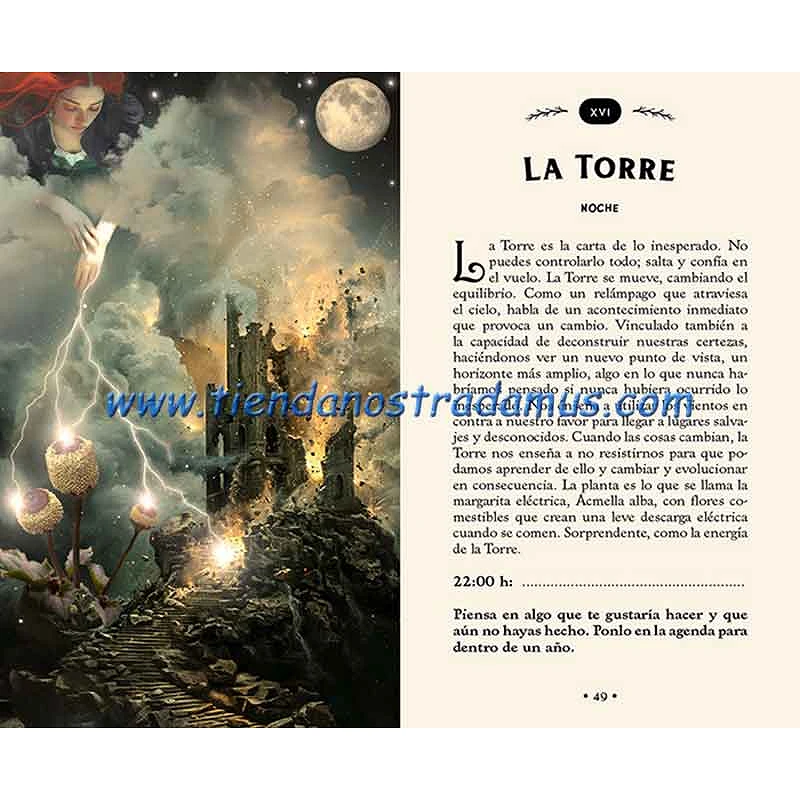 Tarot del Bosque Oculto 9788410101784