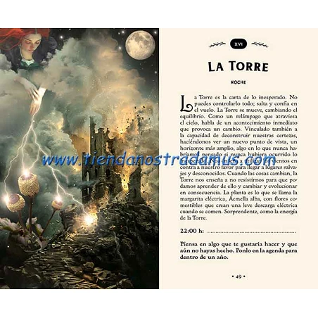 Tarot del Bosque Oculto 9788410101784 Tarot del Bosque Oculto 9788410101784