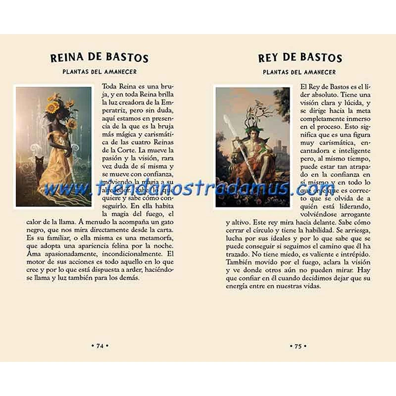 Tarot del Bosque Oculto 9788410101784