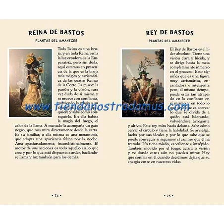 Tarot del Bosque Oculto 9788410101784 Tarot del Bosque Oculto 9788410101784