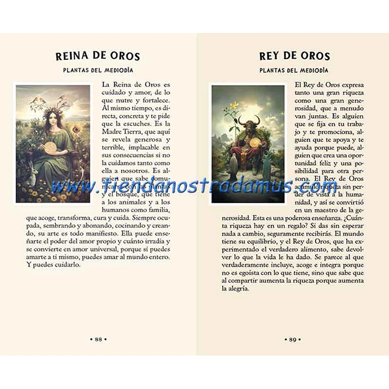 Tarot del Bosque Oculto 9788410101784