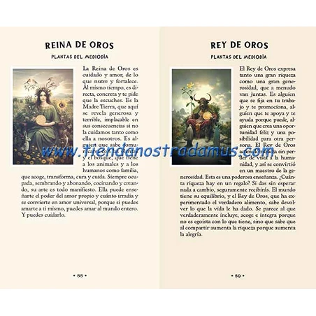 Tarot del Bosque Oculto 9788410101784 Tarot del Bosque Oculto 9788410101784